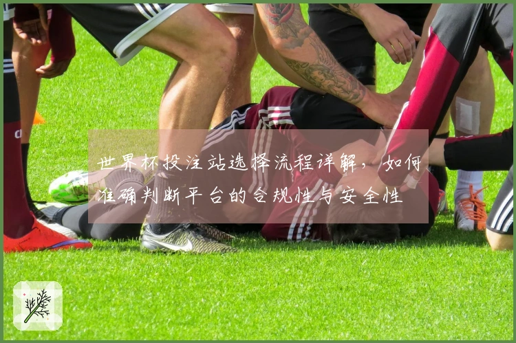 世界杯投注站选择流程详解，如何准确判断平台的合规性与安全性