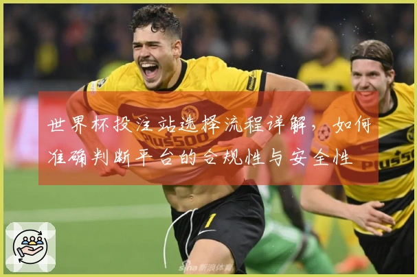 世界杯投注站选择流程详解，如何准确判断平台的合规性与安全性